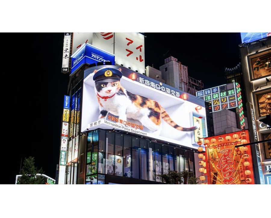 Shinjuku 3D Billboard - Comprehensive Explanation 2024